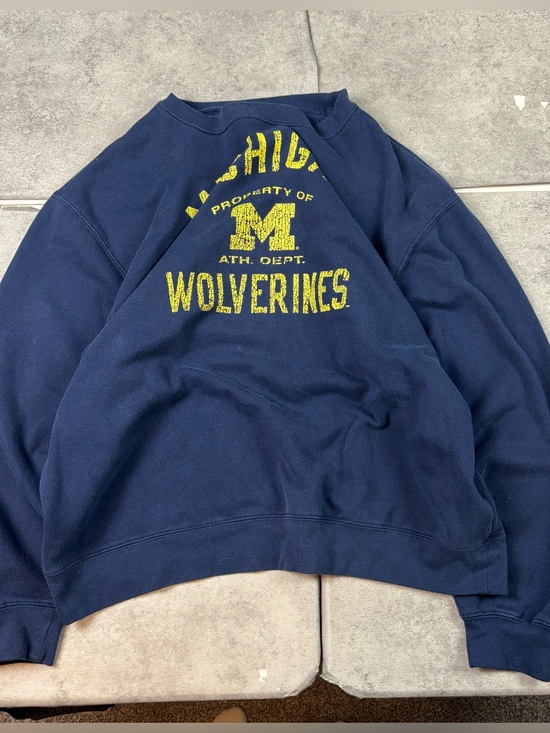 Pro Edge Other - Y2k navy Michigan wolverine’s u of m spell out pro edge crewneck